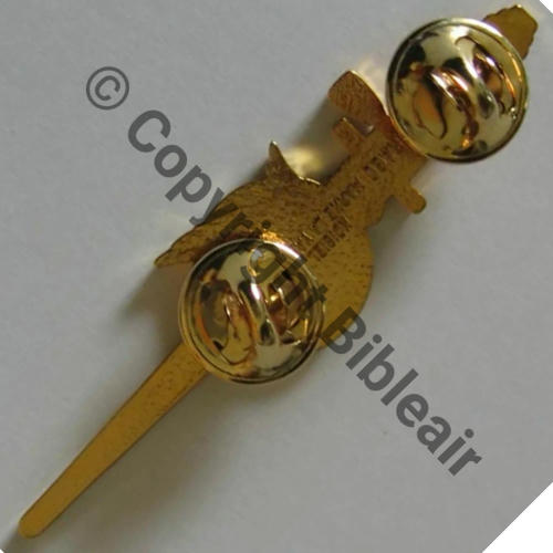 POIGNARD EA  DrNMV Dos lisse irreg 2Attac PINS Src.steph17monnaie 8Eur03.23 